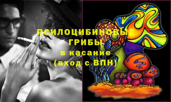 соль ск Дмитровск