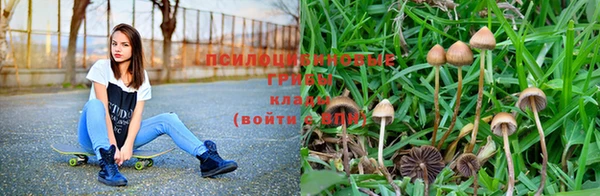 ешки Дмитров